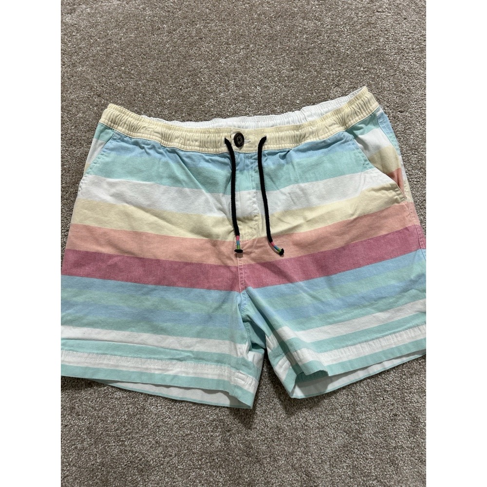 Chubbies Size L The Weekend‎ Has Arrived Shorts Pastel Beach